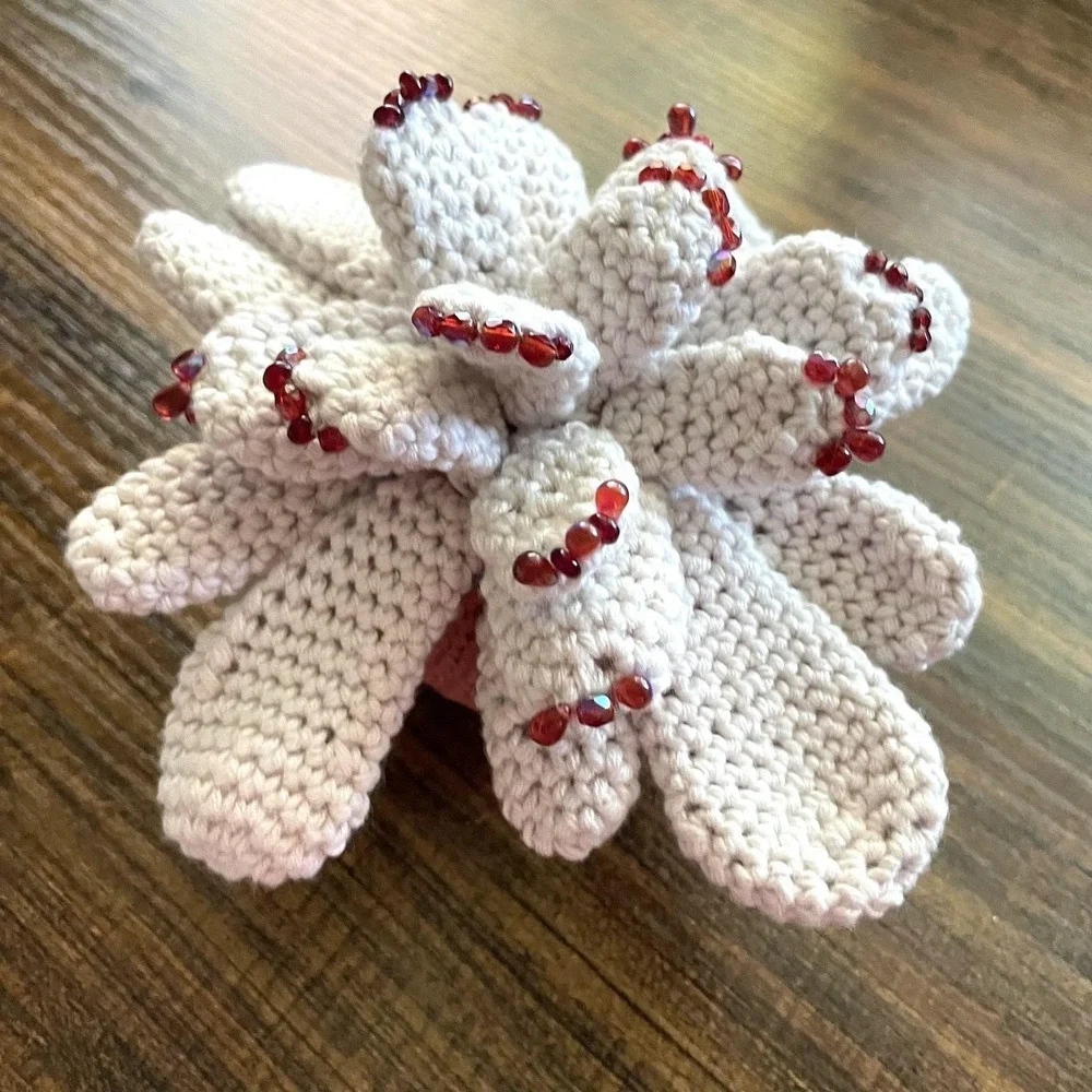 Handmade Succulent with Red Beads Crochet Blooming Cactus Cream Office Decor